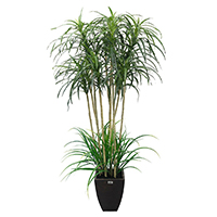 5 ft Narrow Dracaena Artificial Tree with Dirt and Wooden Pot.