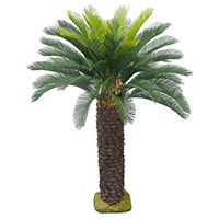 4 ft Cypas Palm